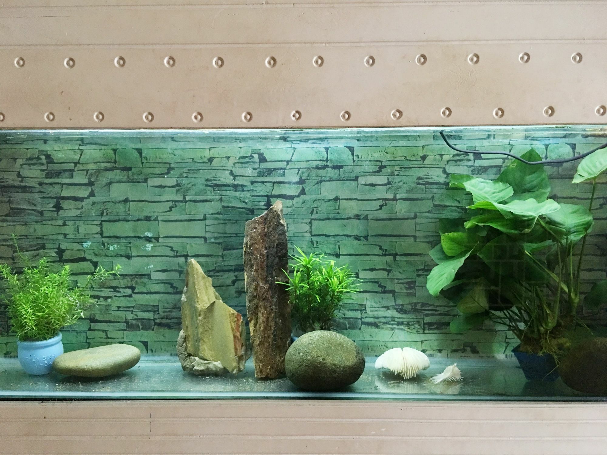 Ha My Guesthouse Da Nang Zewnętrze zdjęcie